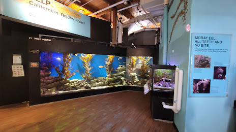 Cabrillo Marine Aquarium, Los Angeles