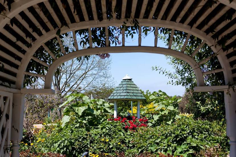 South Coast Botanic Garden, Лос-Анджелес