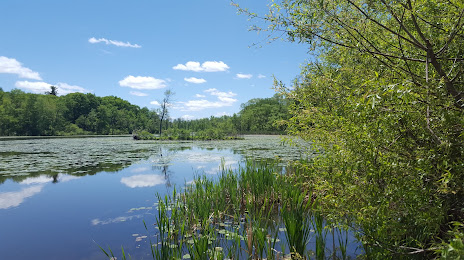 Ann Lee Pond Nature and Historic Preserve, 