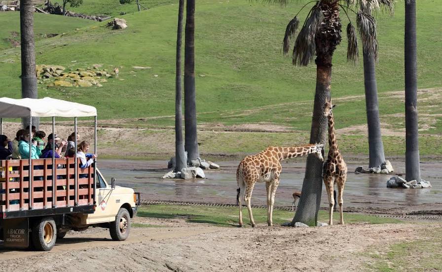 San Diego Zoo Safari Park, San Diego