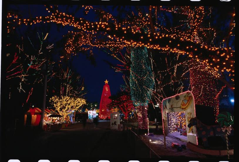 Santa's Enchanted Forest, 