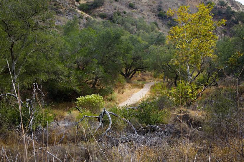 Whiting Ranch Wilderness Park, 