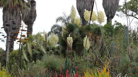 University of California Irvine Arboretum, 