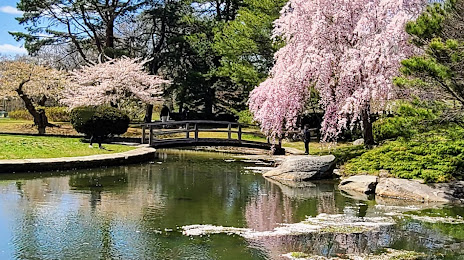 Japanese Garden at Roger Williams Park, 
