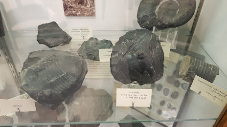 The Perkins Geology Museum, 