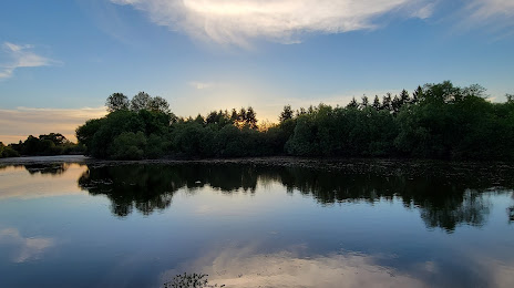 Озеро Коммонуэлт, Бивертон