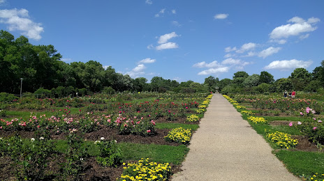Lyndale Park Rose Garden, Minneapolis