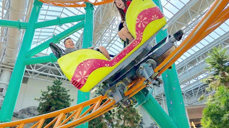 Fairly Odd Coaster, Миннеаполис