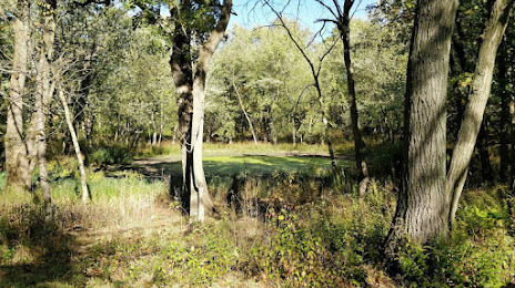 Salt Creek Woods Nature Preserve, 