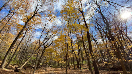 O'Hara Woods Preserve, 