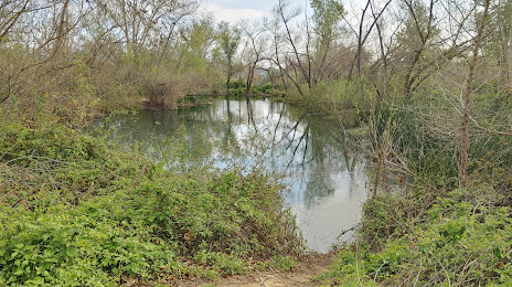 Chino Creek Wetlands and Educational Park, 