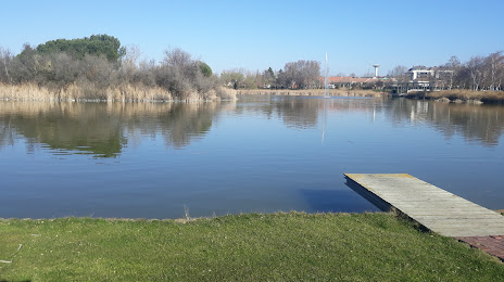 Entorno del Lago, Laguna de Duero