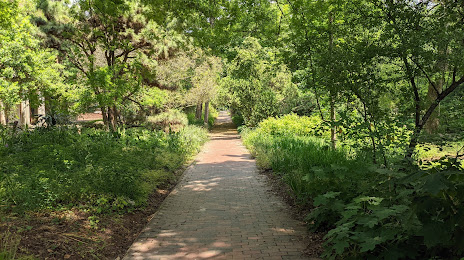 Coker Arboretum, Chapel Hill