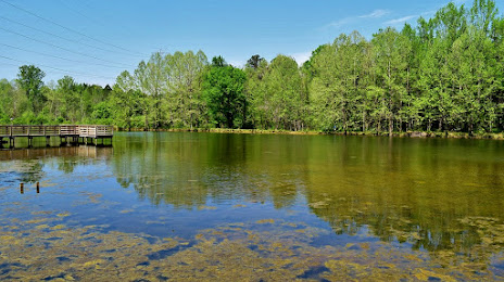 Brumley Forest Nature Preserve, Chapel Hill