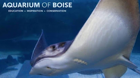 Aquarium Of Boise, 