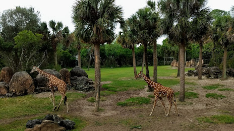 Jacksonville Zoo and Gardens, 