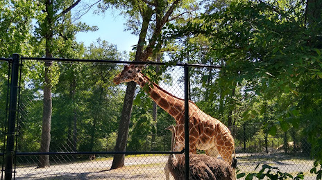 Birmingham Zoo, Birmingham Alabama, 