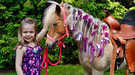 The Friendly Farmyard Traveling Pony & Petting Zoo, Newark
