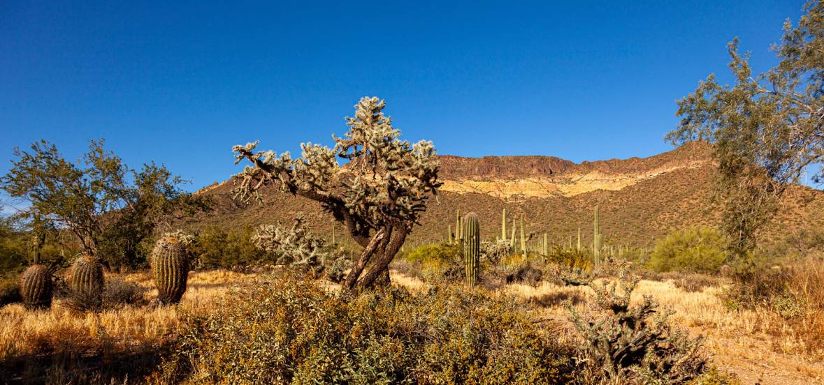 Phoenix Sonoran Preserve, 