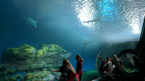 Pacific Seas Aquarium, Такома