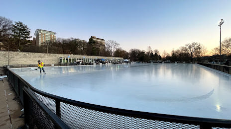 Steinberg Skating Rink, Saint Louis