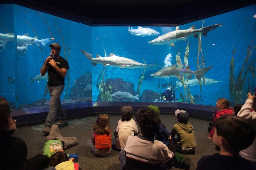 The Maritime Aquarium at Norwalk, Norwalk