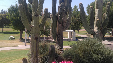 Cactus Park, 