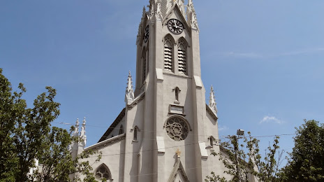 The Basilica of Saint Mary of the Immaculate Conception, 