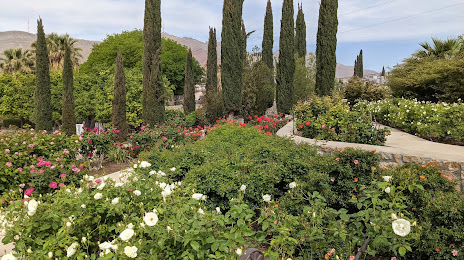 El Paso Municipal Rose Garden, 