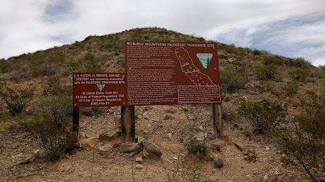 Prehistoric Trackways National Monument, 