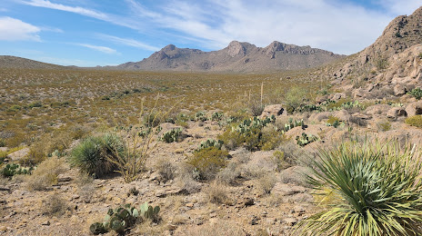Chihuahuan Desert Nature Park, 