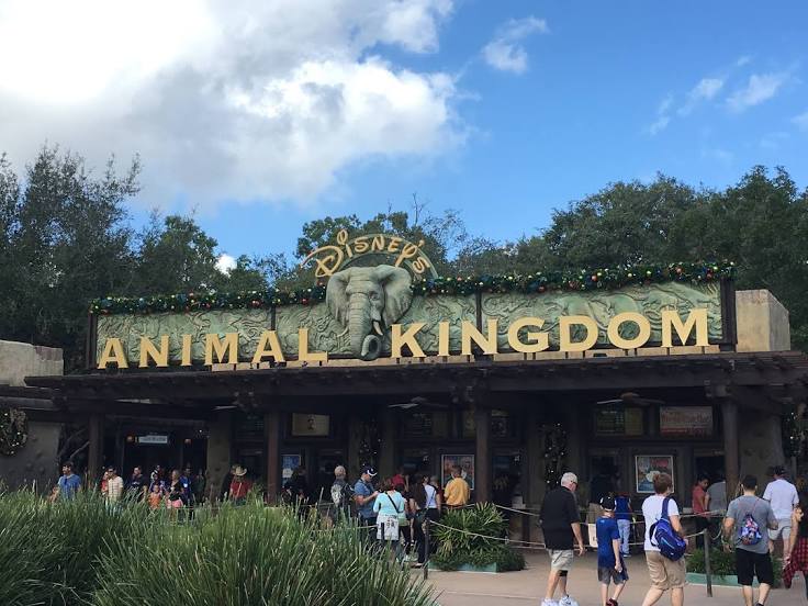 Disney's Animal Kingdom Theme Park, Orlando