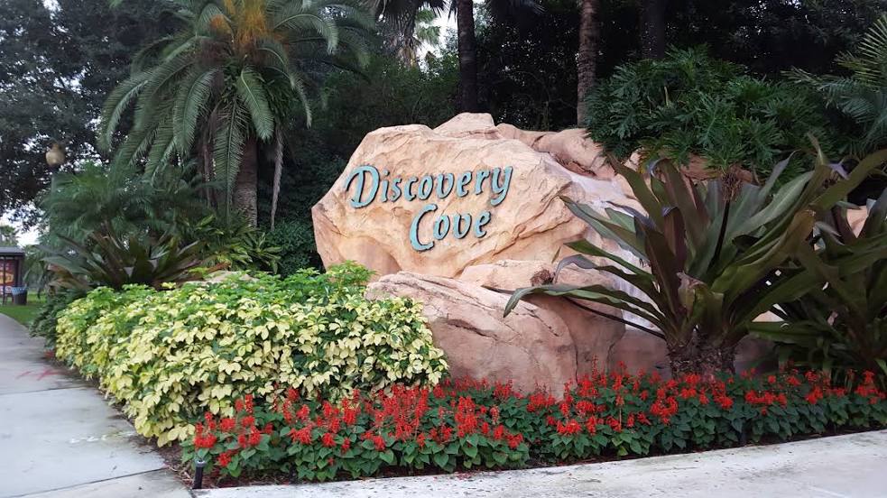 Discovery Cove, 