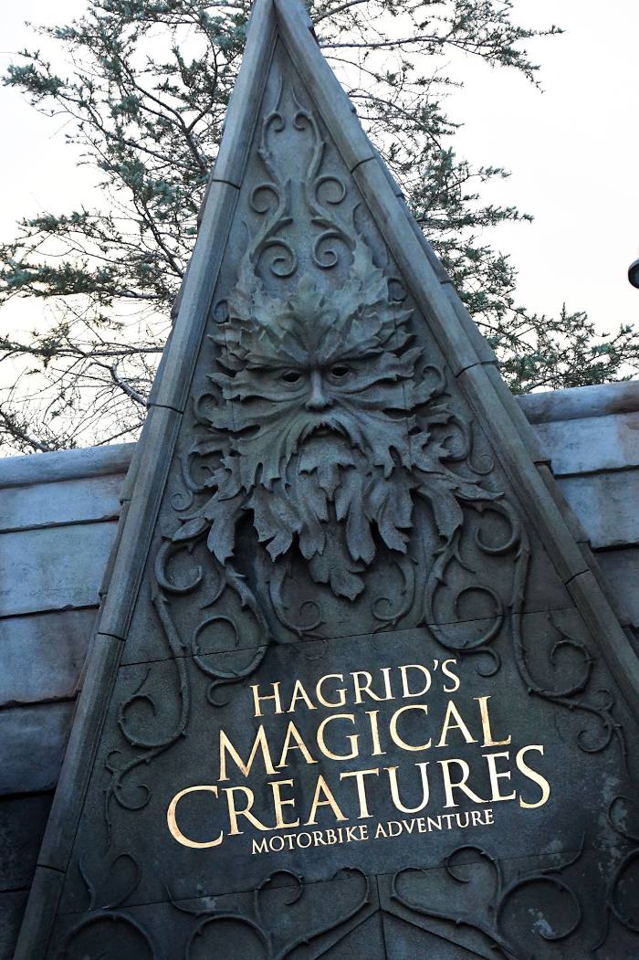 Hagrid’s Magical Creatures Motorbike Adventure, Орландо