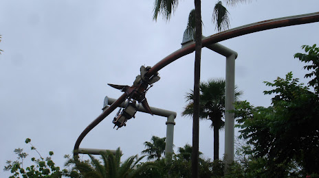 Pteranodon Flyers, Орландо