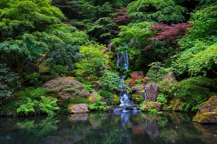 Portland Japanese Garden, 