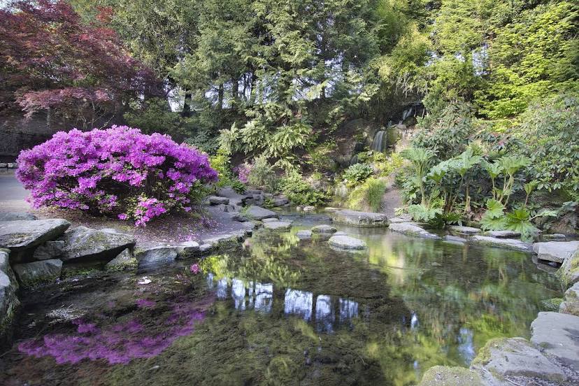 Crystal Springs Rhododendron Garden, 