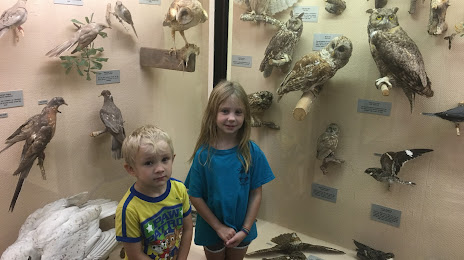 LSU Museum of Natural Science, 