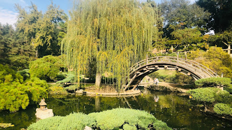 The Huntington Japanese Garden, Pasadena