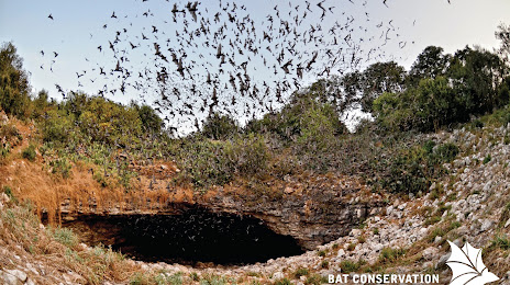 Bracken Cave Preserve (Bat Conservation International Inc), San Antonio
