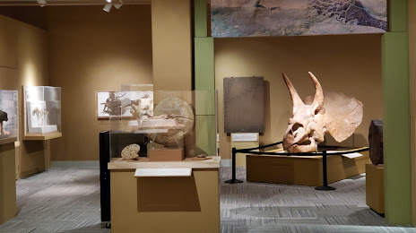 University of Colorado Museum of Natural History, 