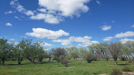 High Plains Arboretum – a Cheyenne Botanic Gardens and Urban Forestry project, 