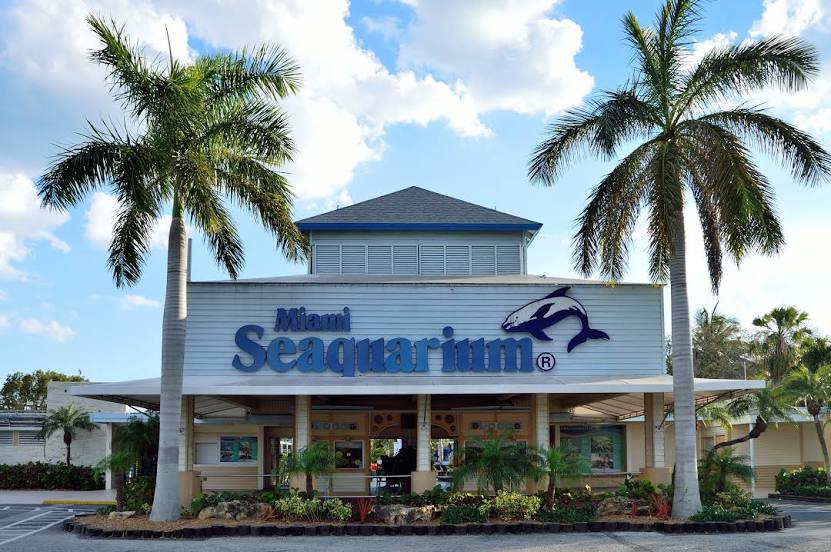 Miami Seaquarium, Miami Beach