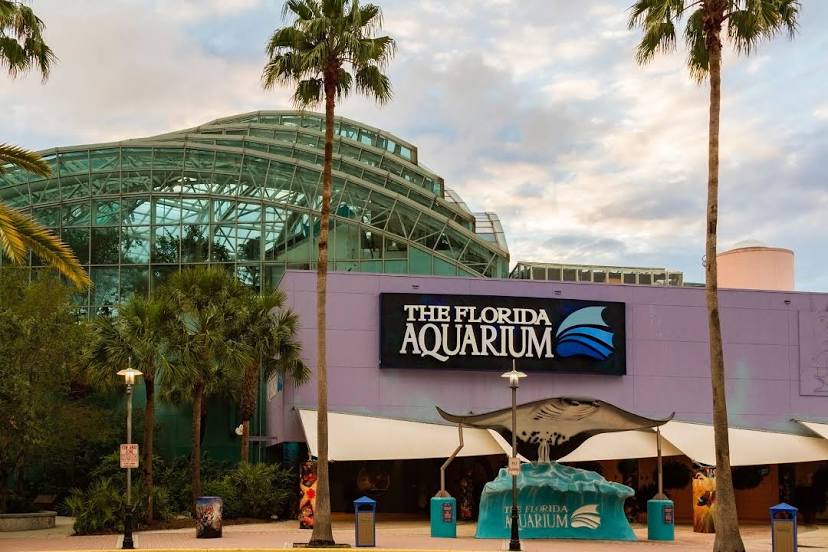 The Florida Aquarium, 