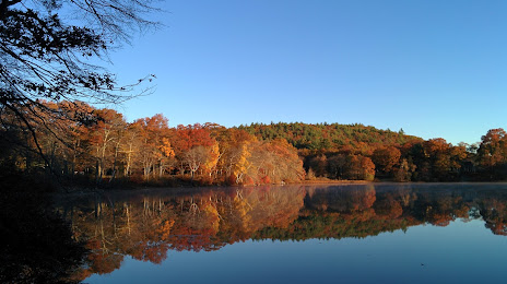 Houghton's Pond, Quincy