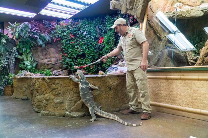 The Reptile Zoo, Newport Beach