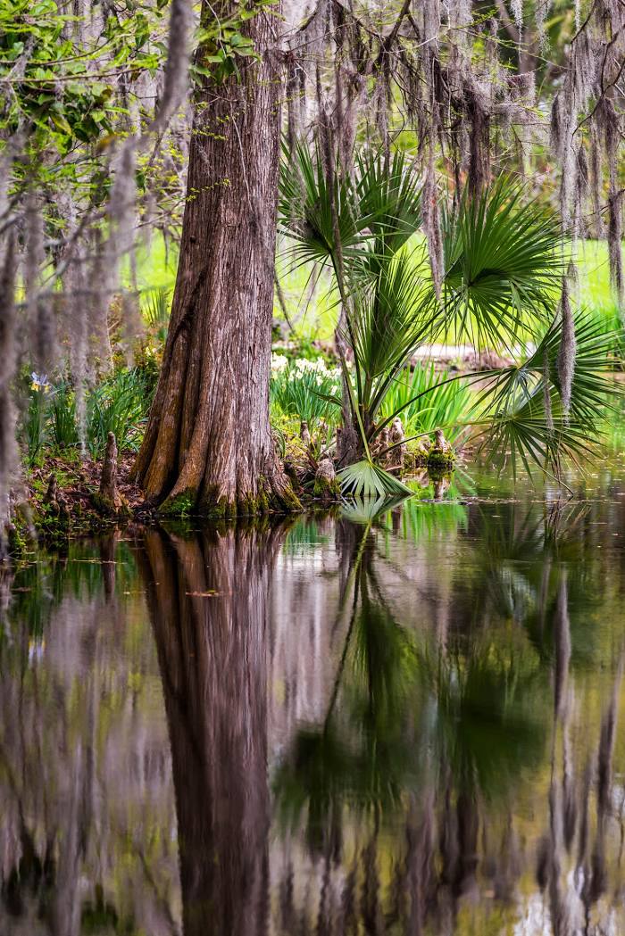 Audubon Swamp Garden, North Charleston