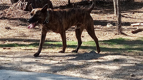Wannamaker Dog Park ($2), North Charleston