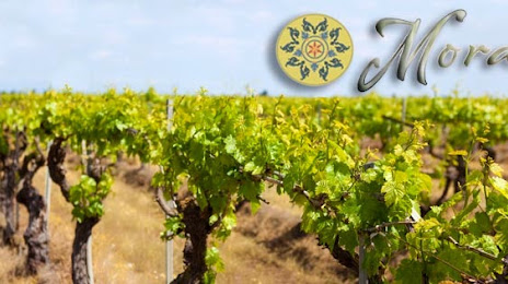 Moravia Wines & Event Venue, 
