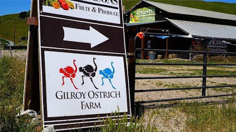 Gilroy Ostrich Farm, Hollister